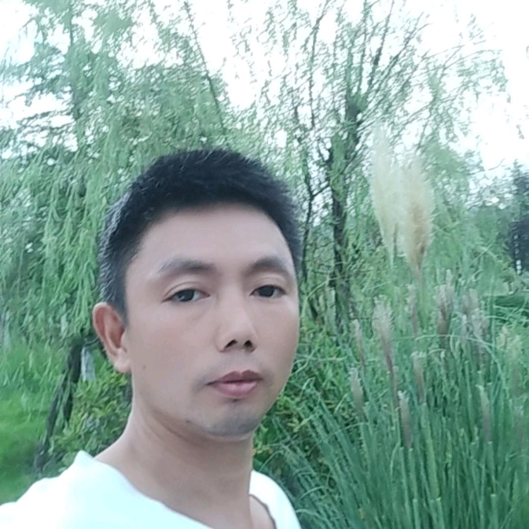 老谢洗鞋