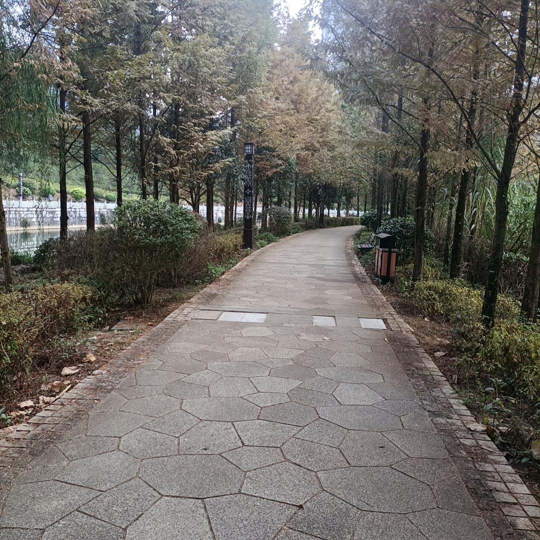 a零度