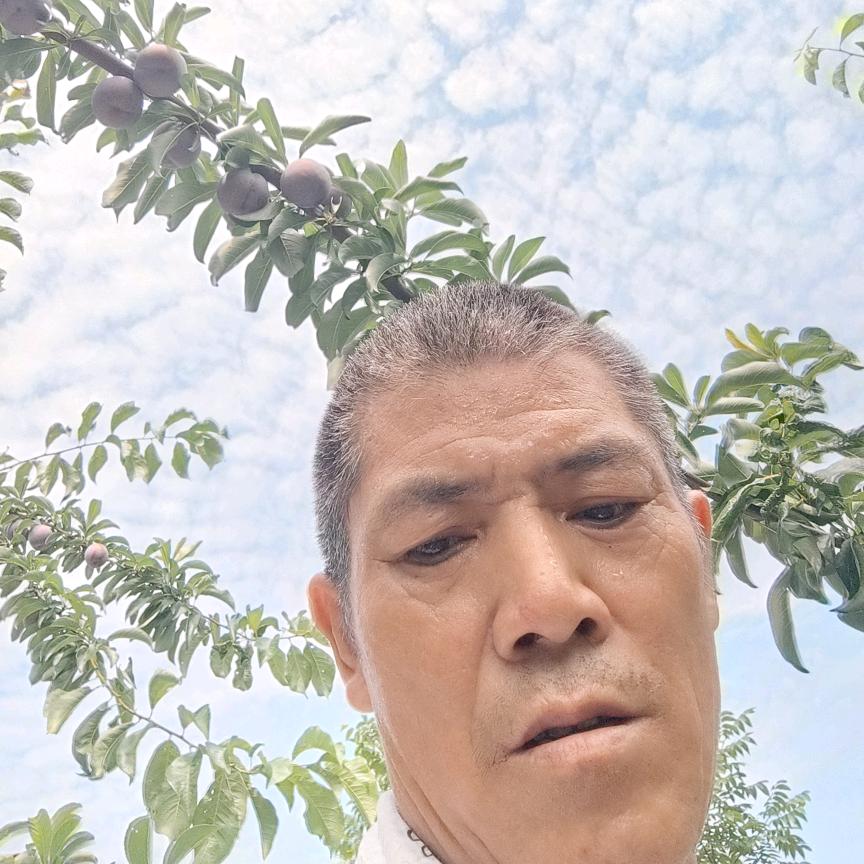 寻找爱我的那个她，你在哪里㇏∴？就㇏㇏′