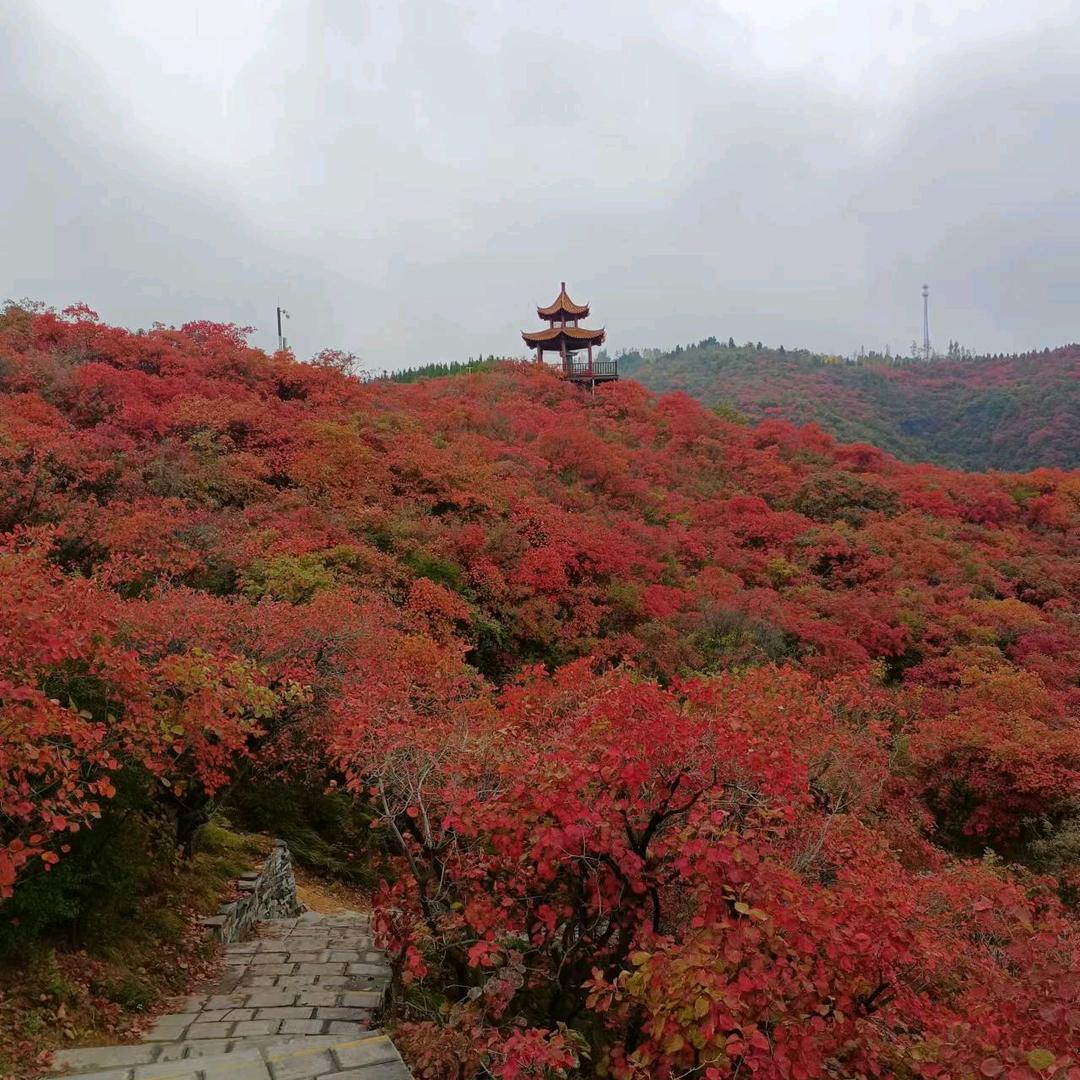 梅姐