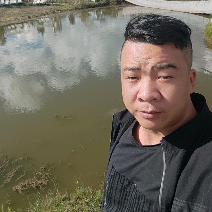 顺鑫挖机