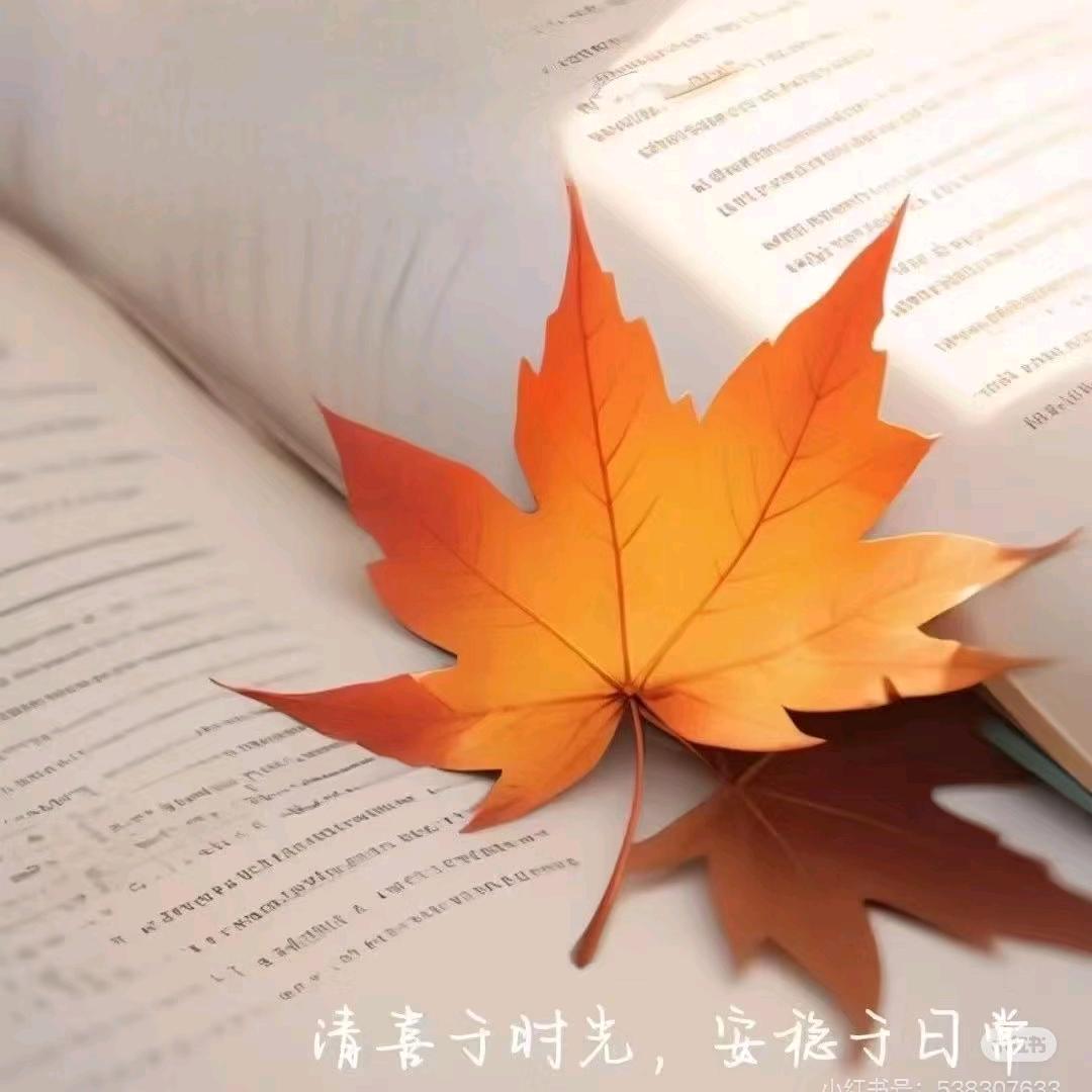 初见悦读