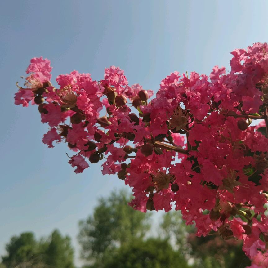 郯城润丰园林工程有限公司