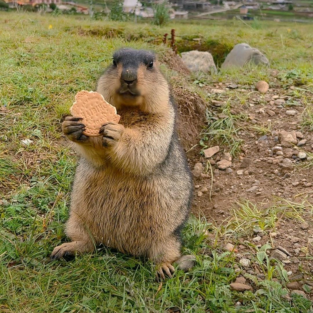 💞星LlOVE⭐YOU辰💞²⁰²5