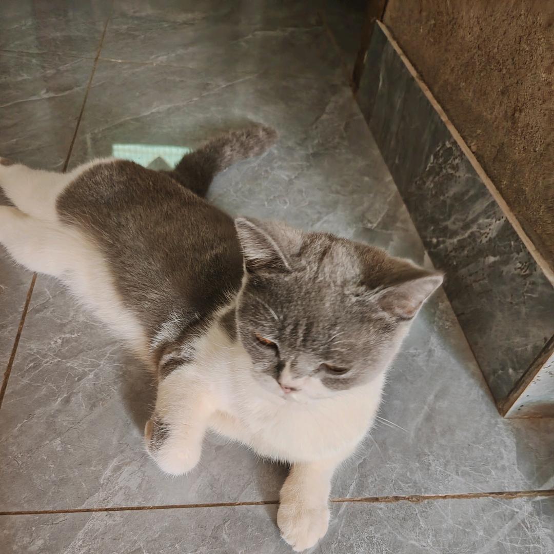 ღ᭄岁月静好🕊꧔ꦿ᭄💞