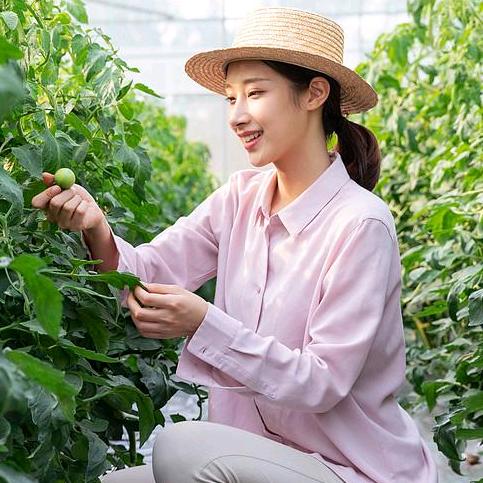 二妹爱种菜