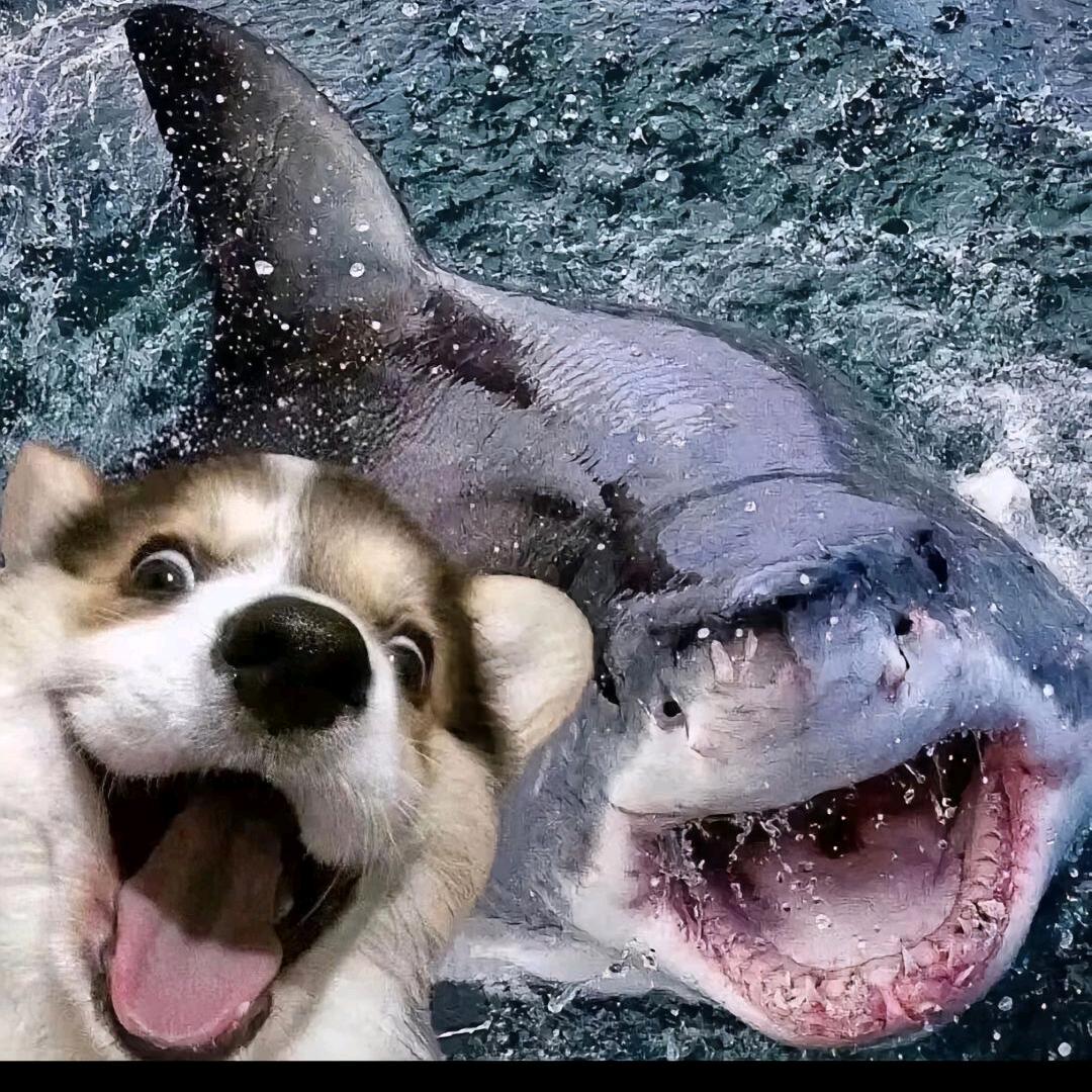 人间土狗