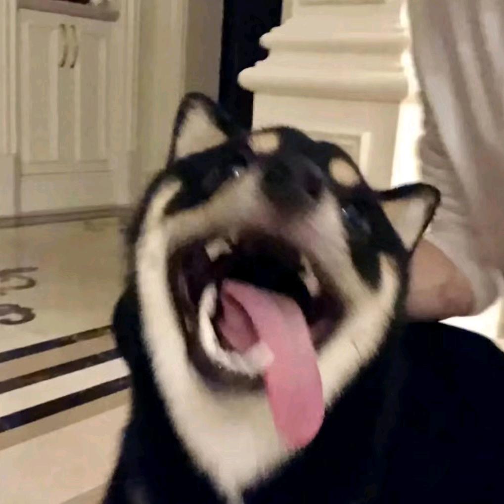 Yiiu7i