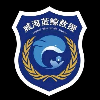 风中的承诺