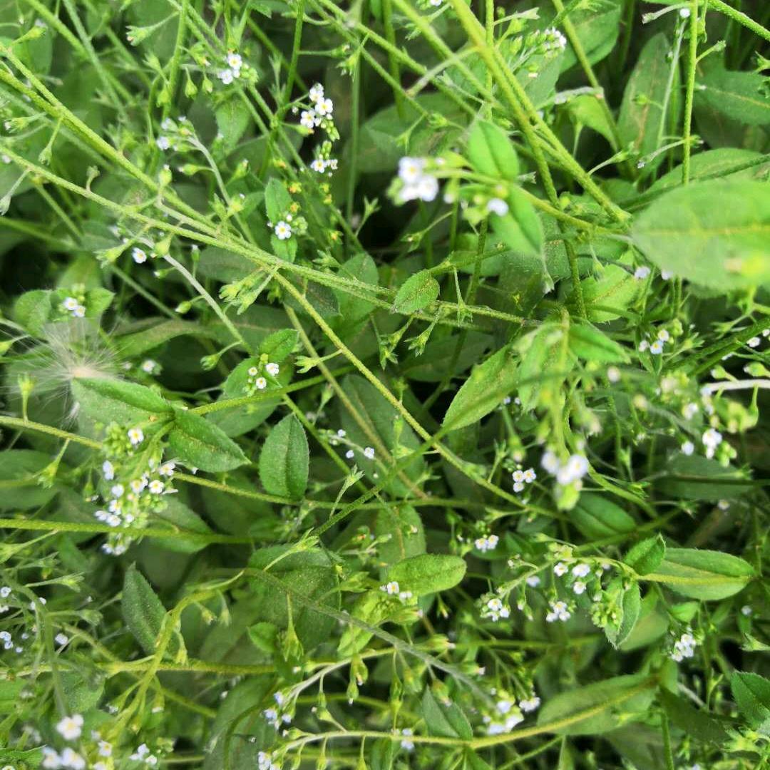 石家庄二山食品有限公司