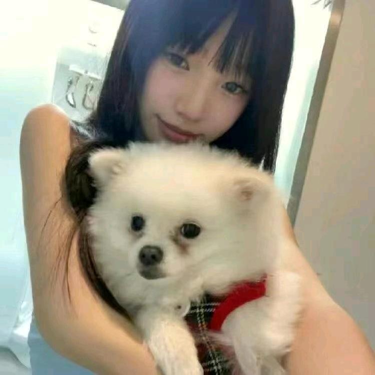 我有昌子你有病