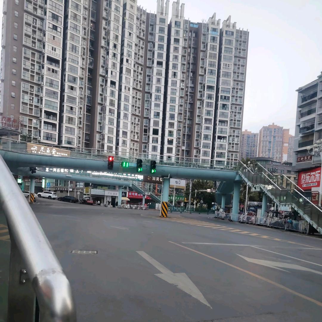 🌹玫瑰🌹