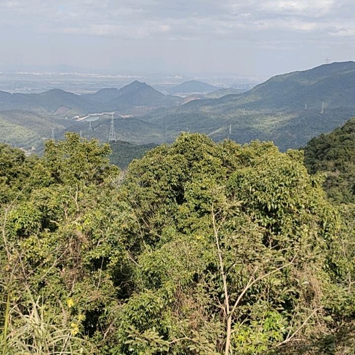 成王败寇……辉哥