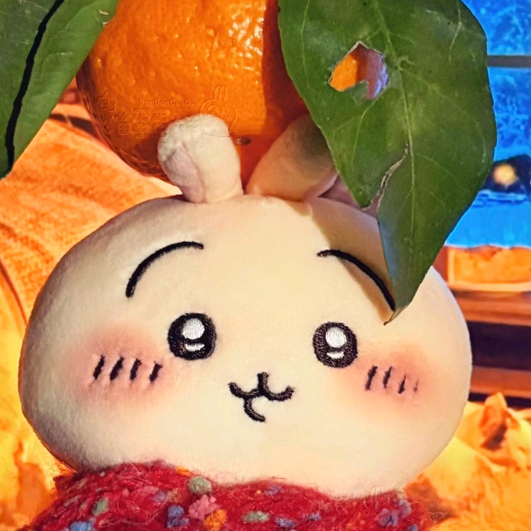 耶耶耶~~