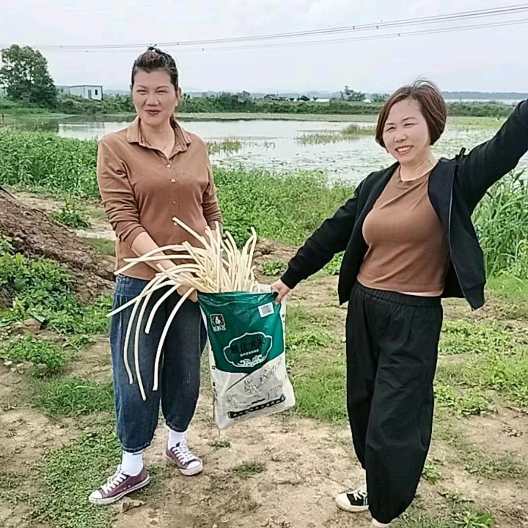 满满好