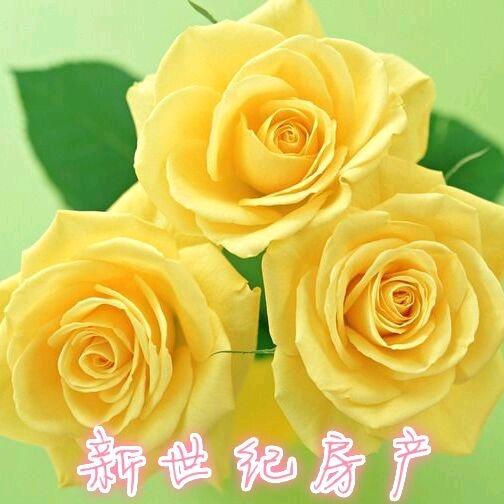 应城中介租房＋二手房