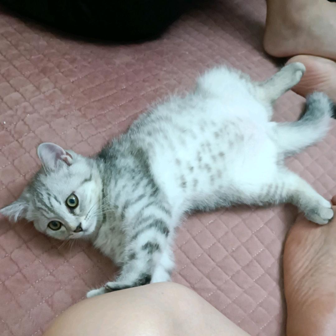 一帆风顺