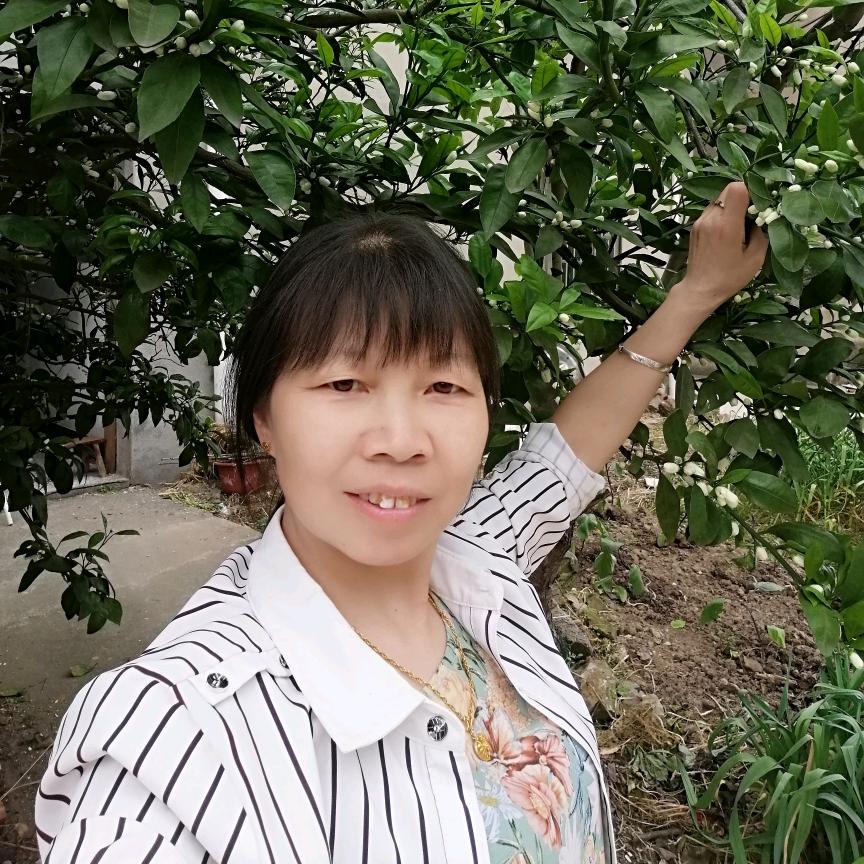 用户9168184576042