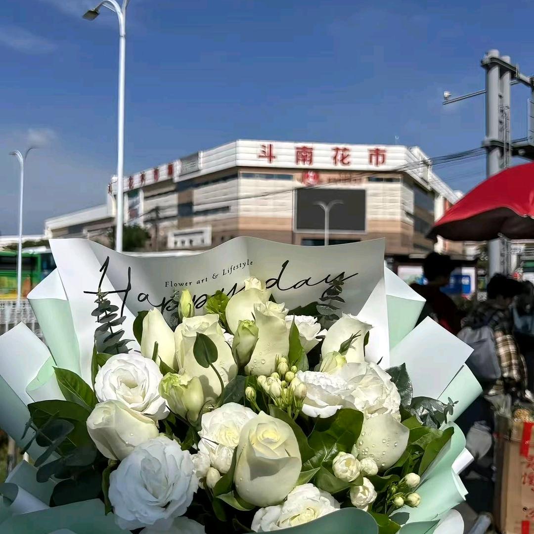 小蒋在斗南（云南鲜花批发）