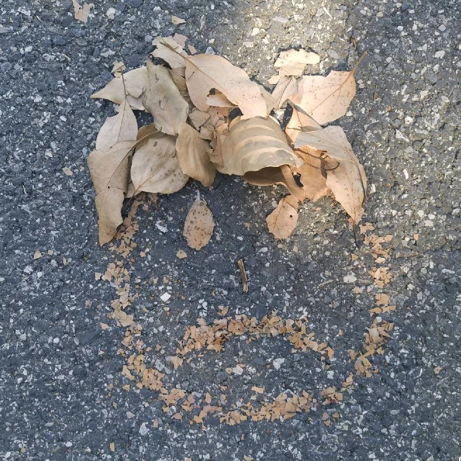 50%微笑，50%哭泣