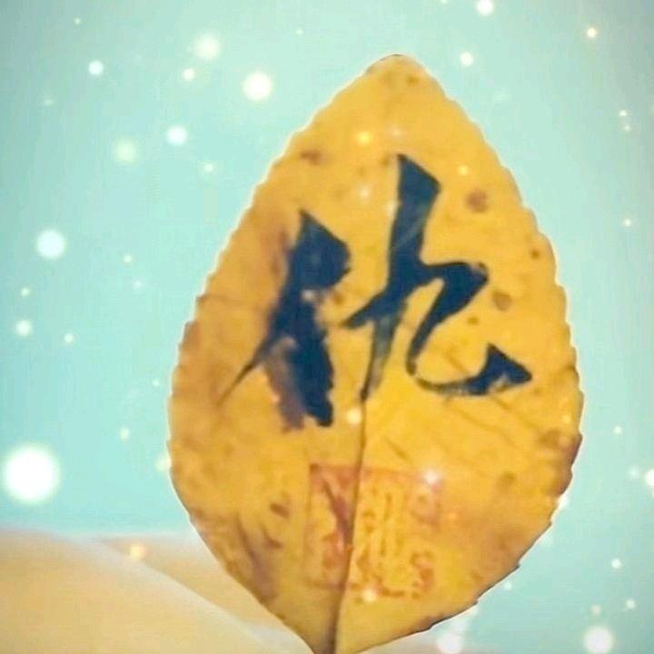 自渡自愈