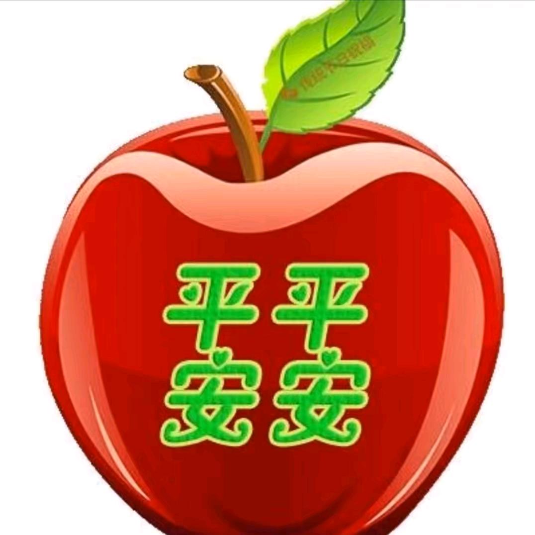 美美66