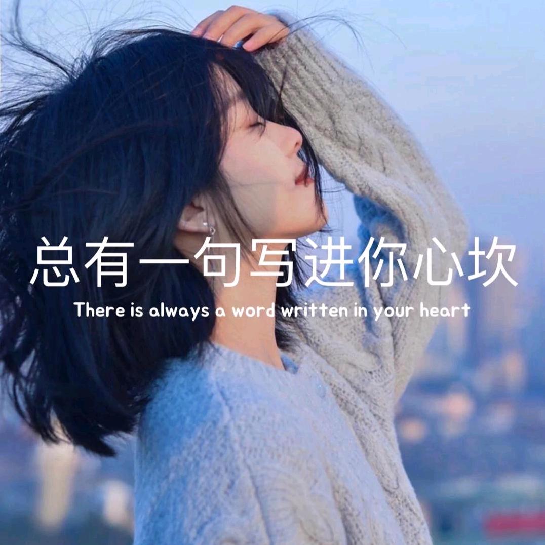 淡淡梅花