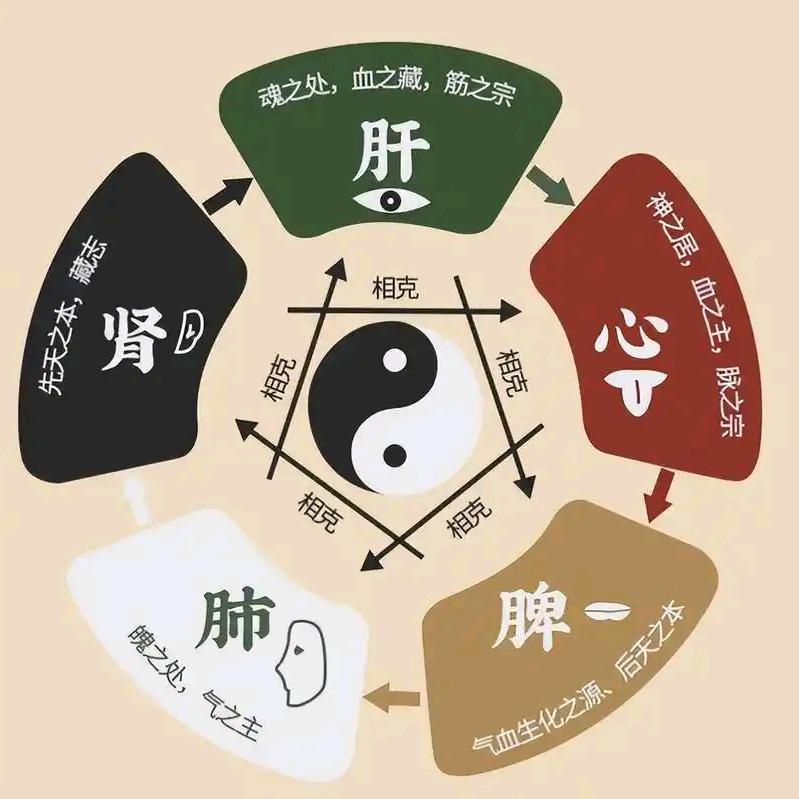 选兑臻品好物分享