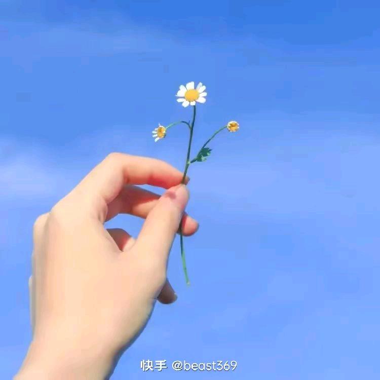 轩冉麻麻