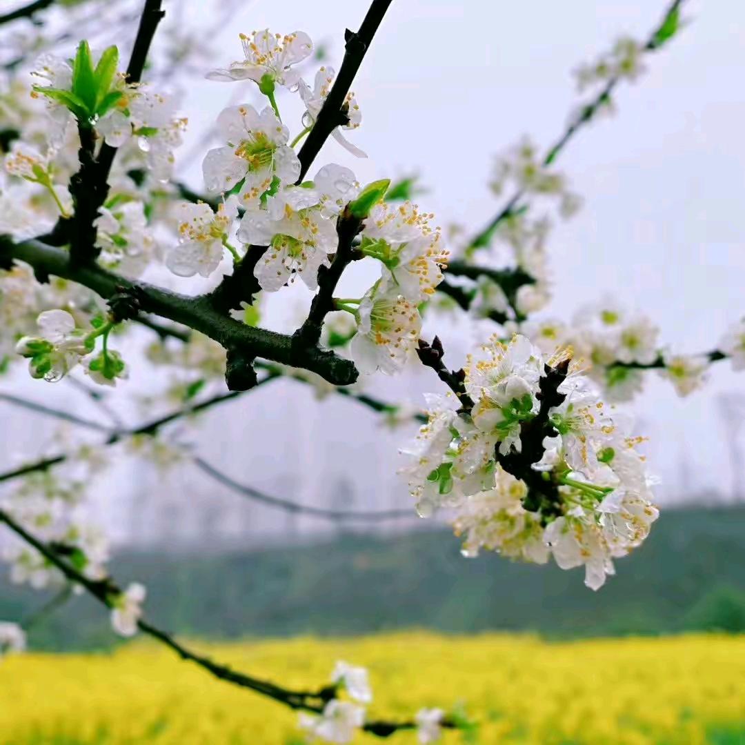 May