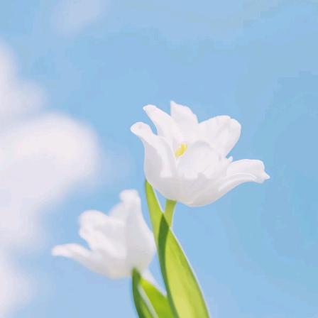 清澈小河