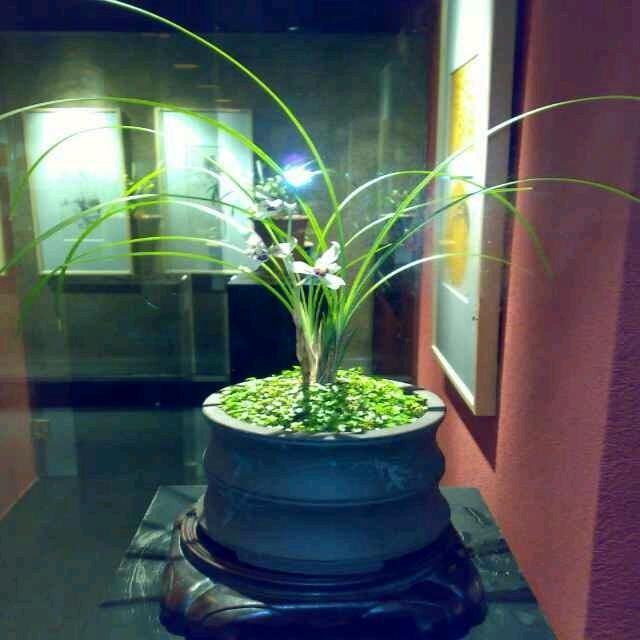 荣港建筑
