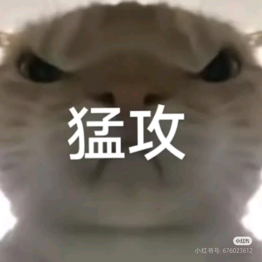 付先生