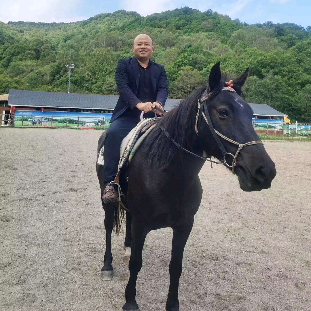 庆阳光头