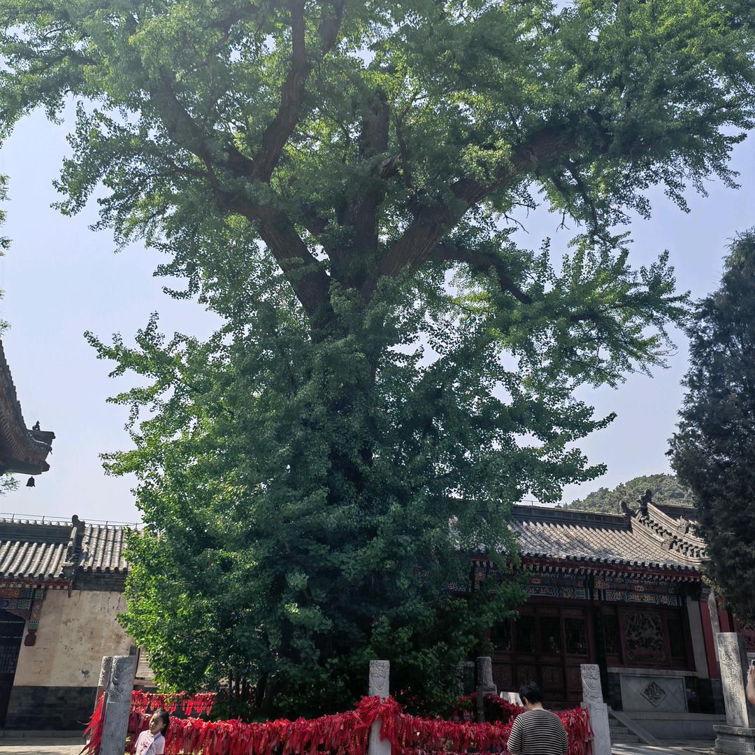 百无聊赖