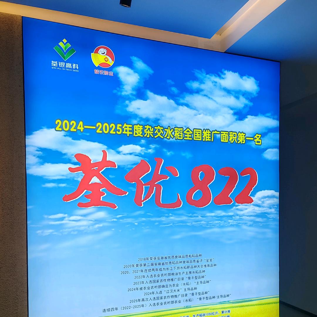 皖农种业水稻技术专家