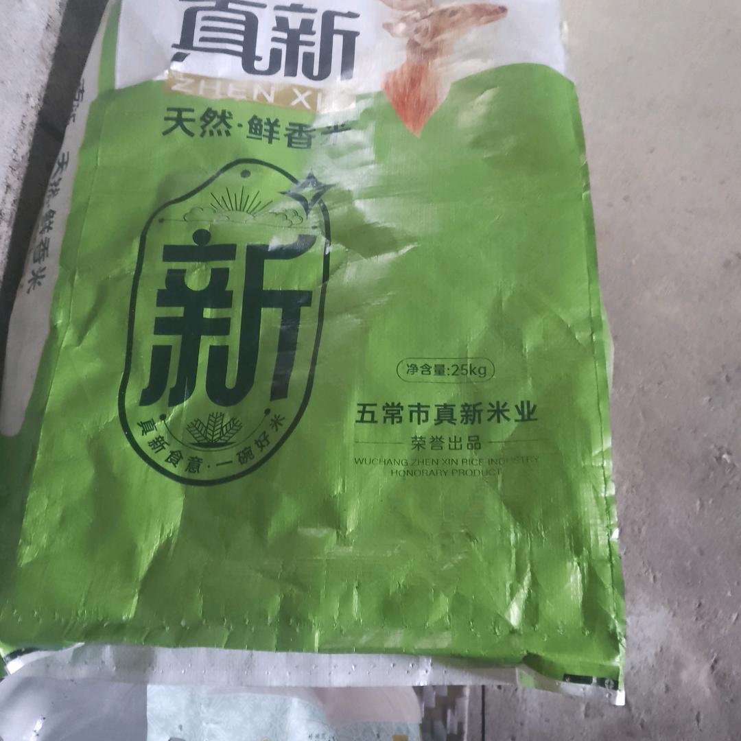洪哥山歌