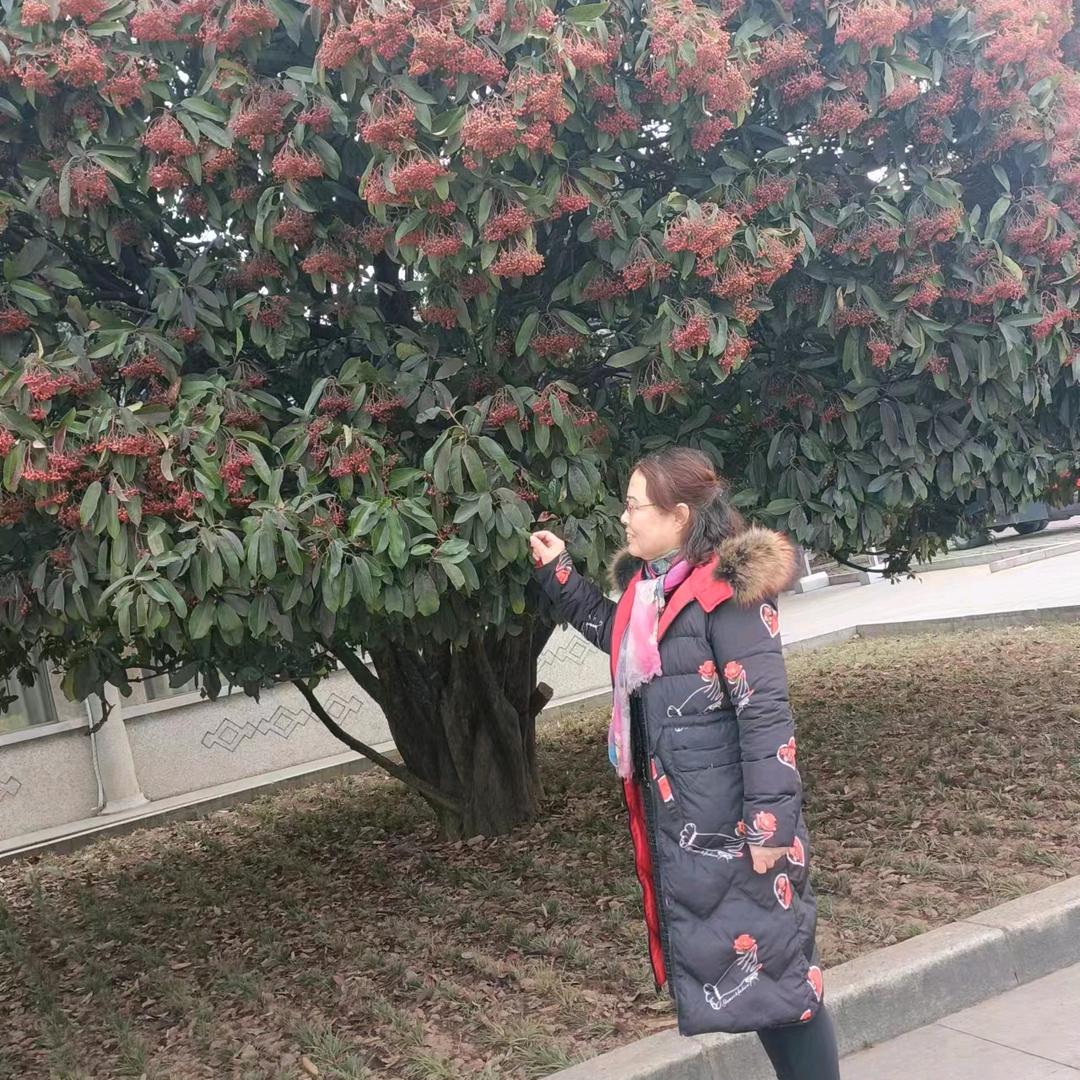 一生平安