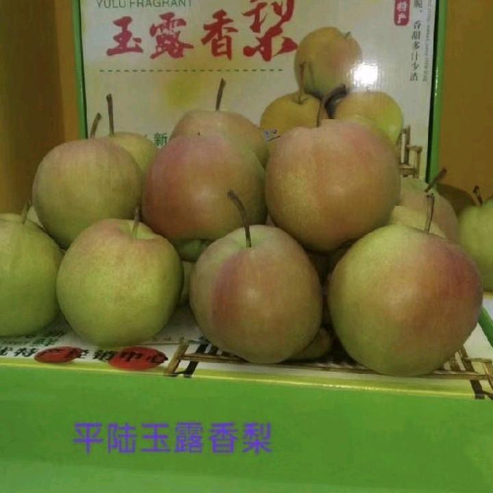 平陆农花夕实农品精选店