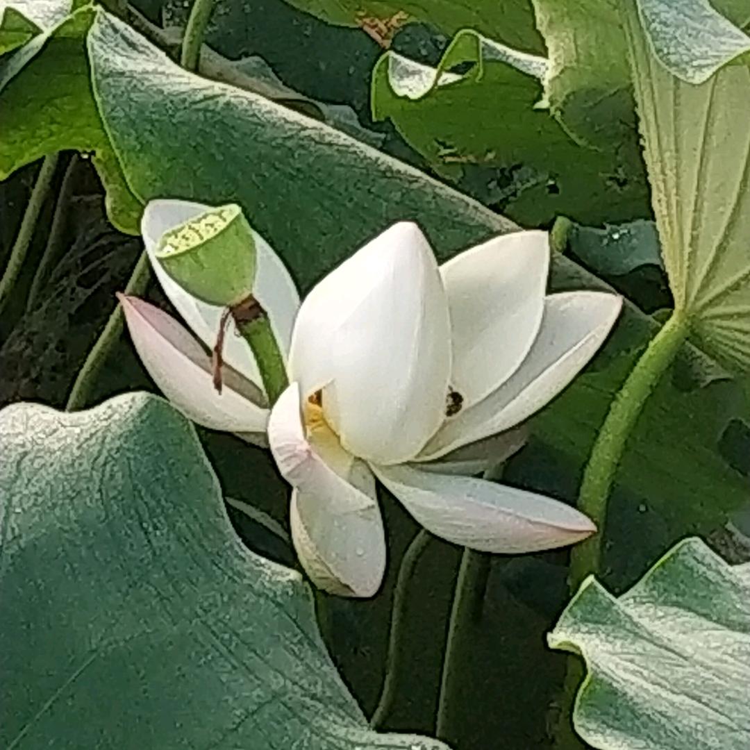 你需要..只要我能做到