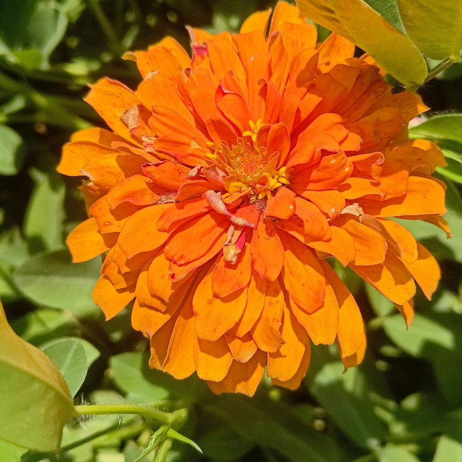 青青姐（视频同款书籍在橱窗）