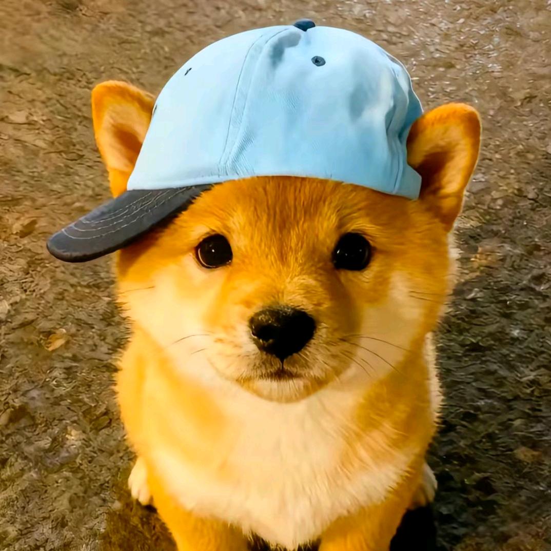 北秋🌴