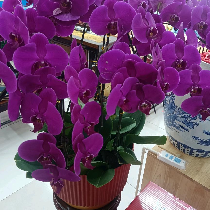 <生只爱你