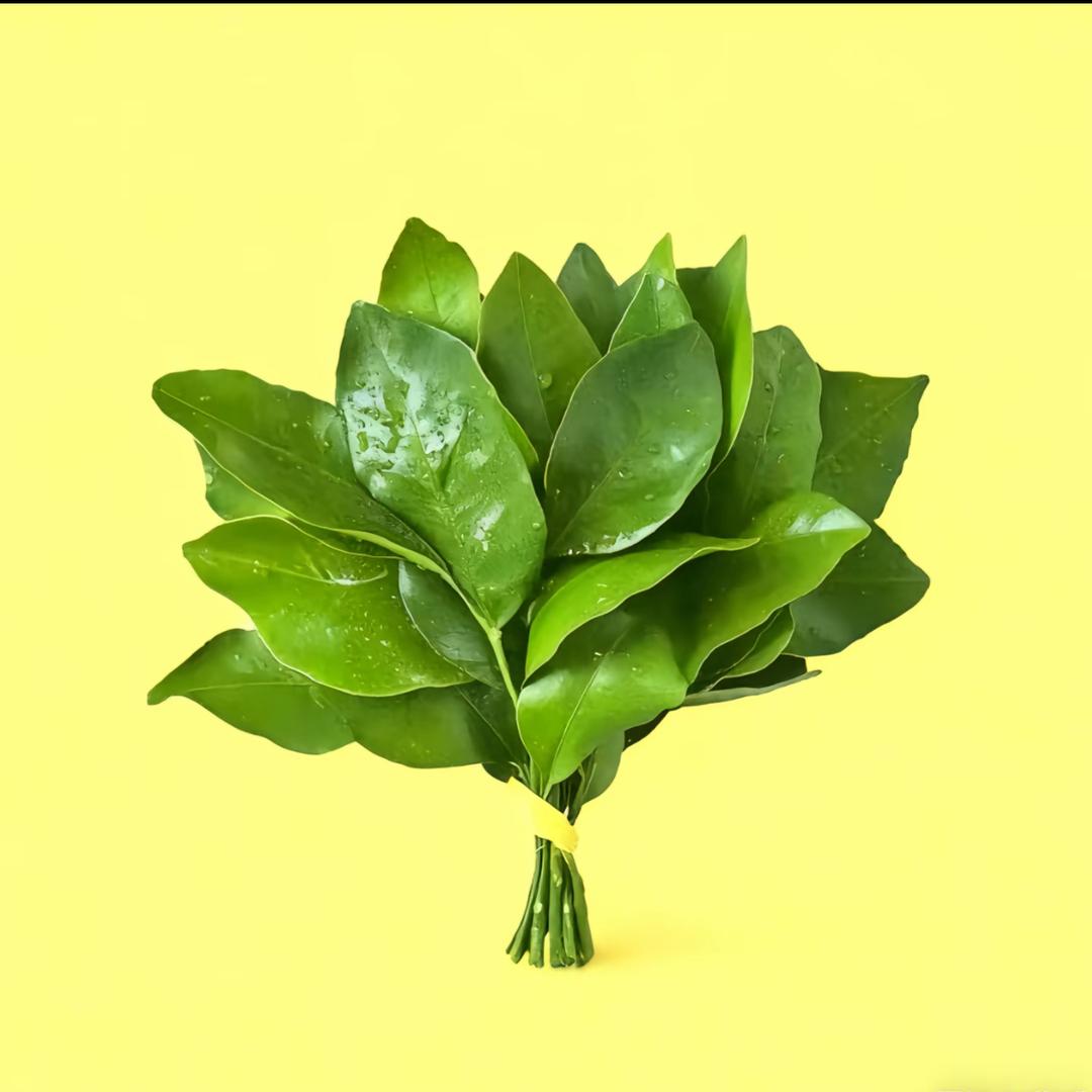 石头妈热儿(兮耶)