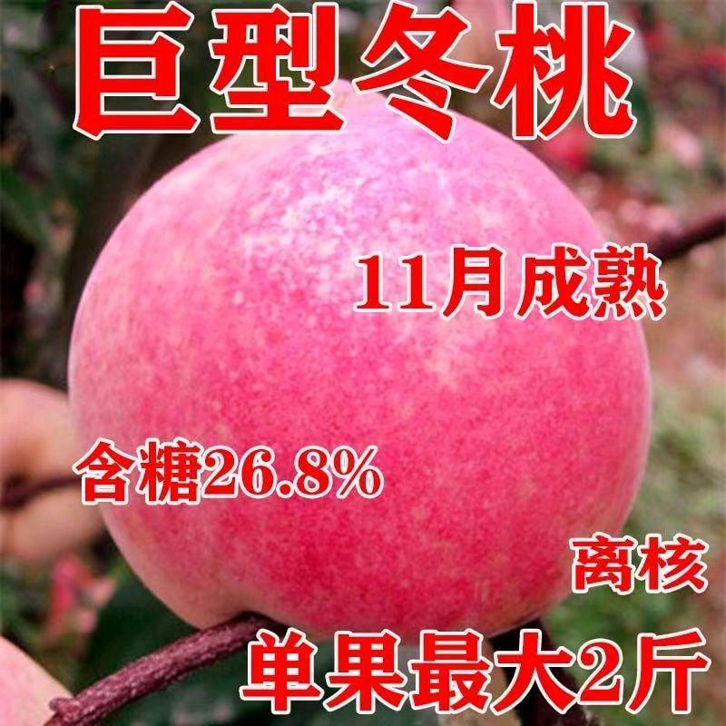 春狂亿潼发果树苗木专卖店