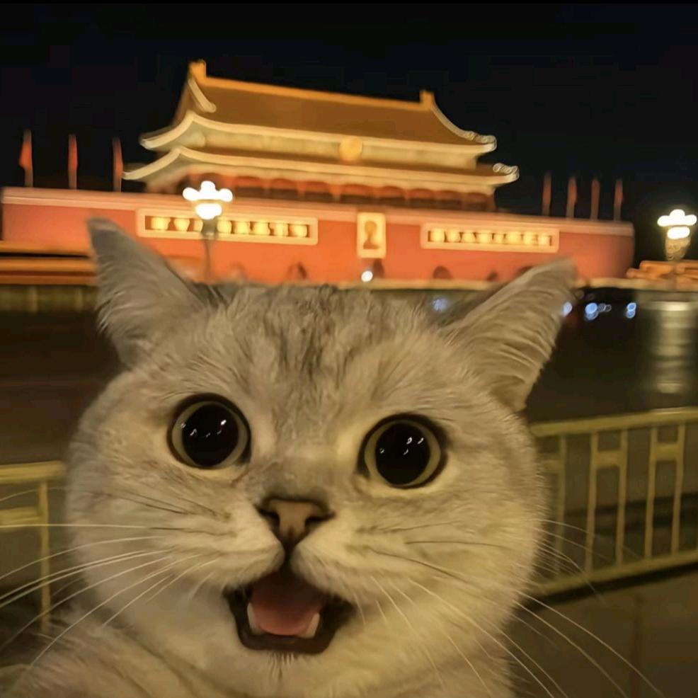 极致的相信自己
