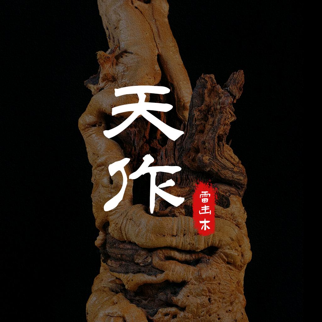 天作雷击木