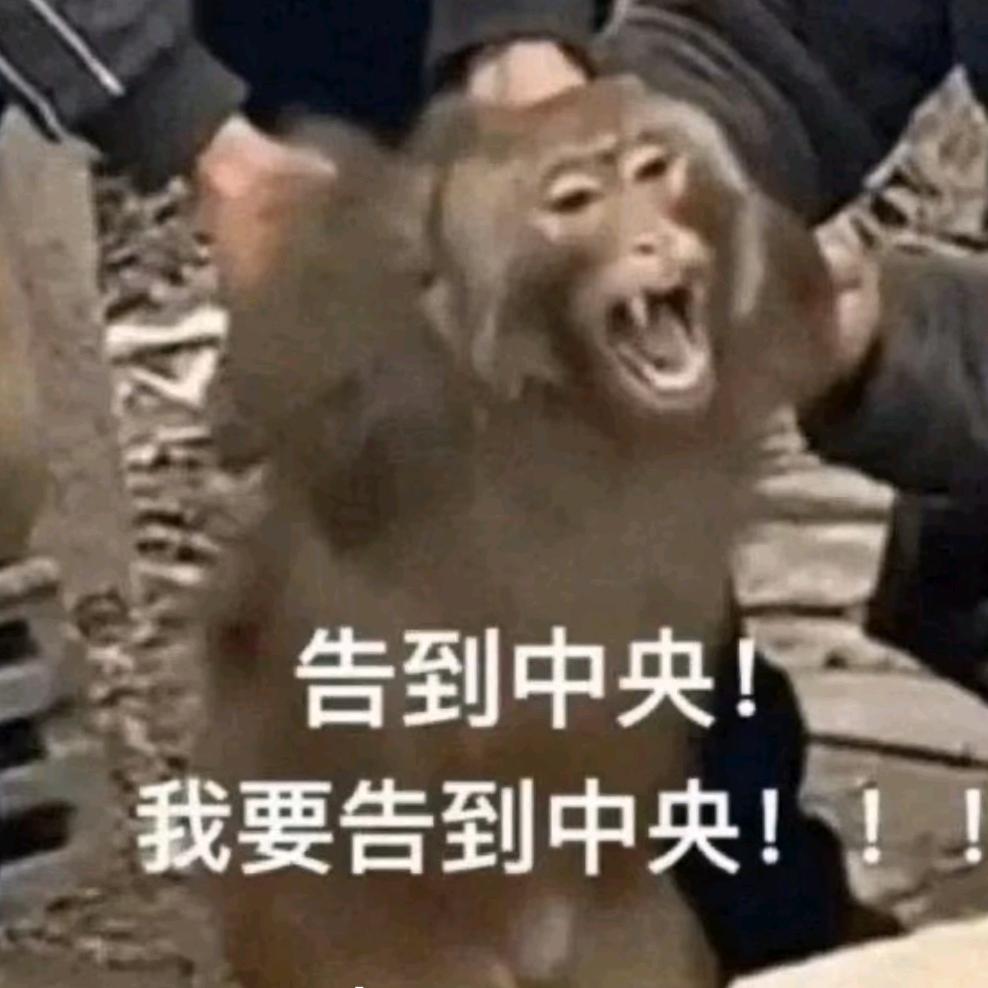 苦练摄影肆拾年只学会按快门