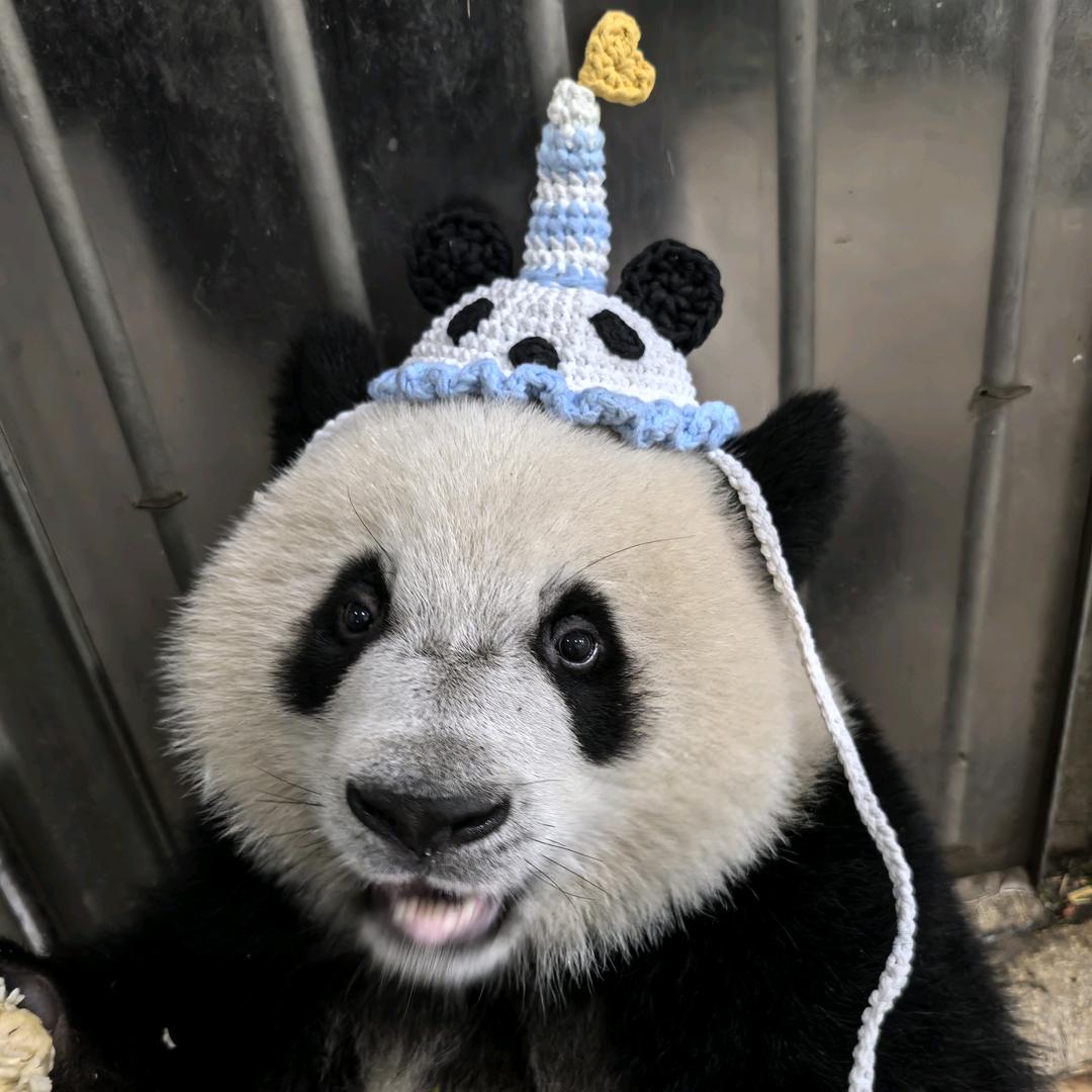 甜爸