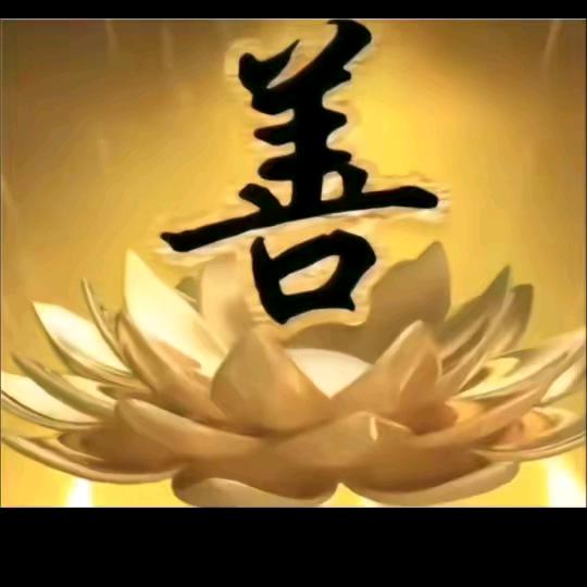 楊明钢结构善缘堂